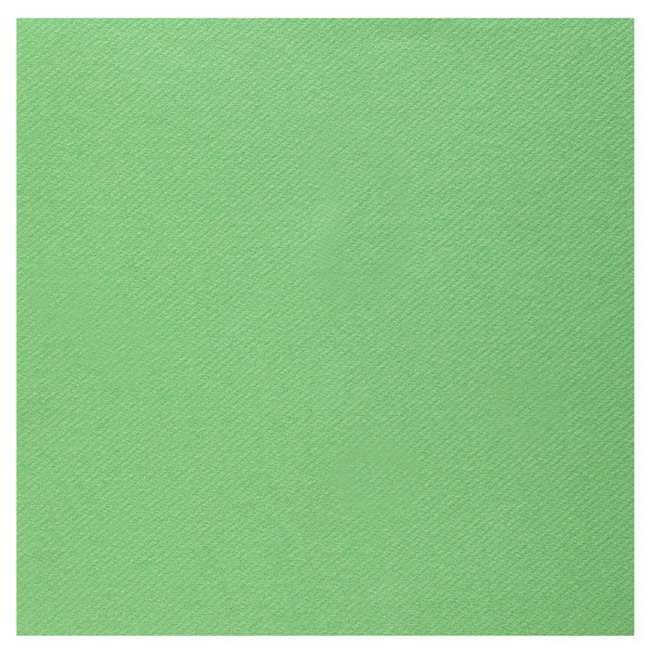 25 Serviettes 40 cm x 40 cm coloris vert pomme haut de gamme