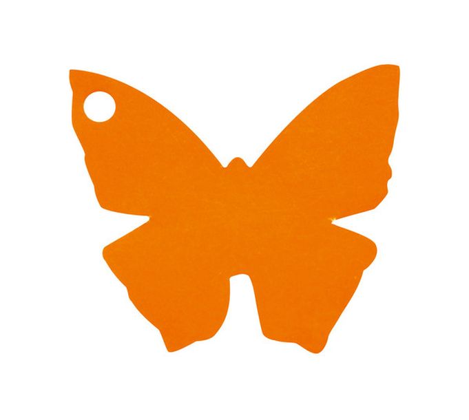 Etiquette porte nom papillon orange x10