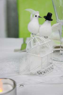 colombes et mini cage pour deco de table mariage | 1001 deco table