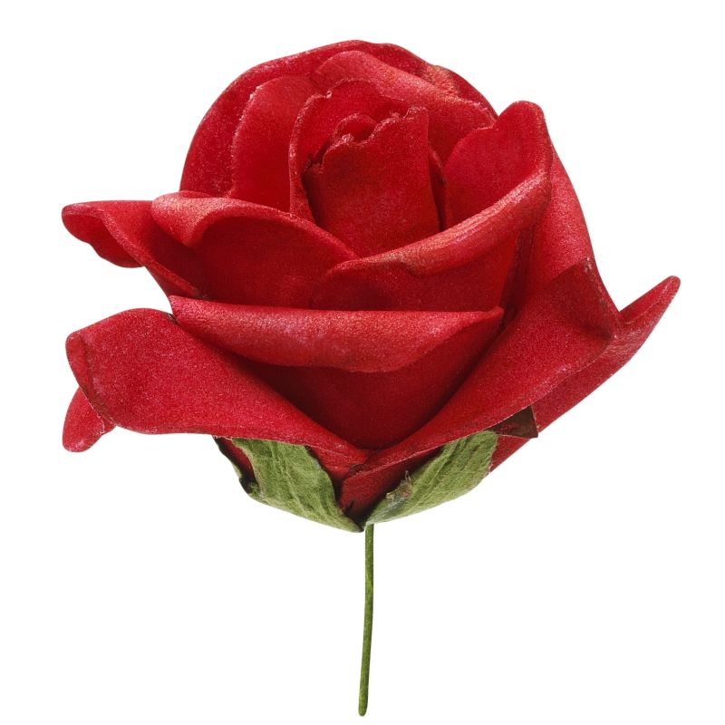Mini rose rouge x12