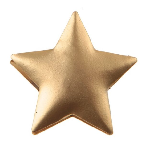 Pince décorative étoile or x4
