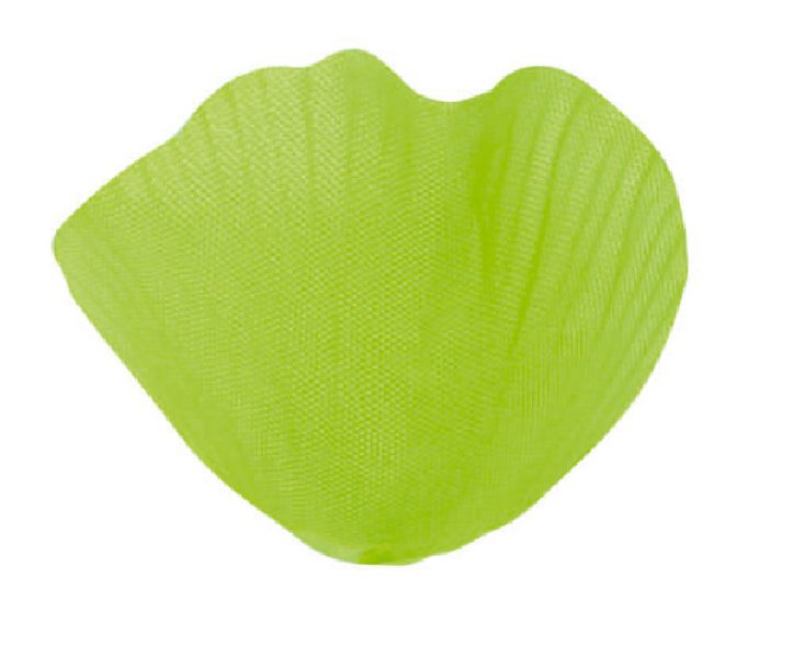 Sachet de 100 pétales-feuilles vert anis