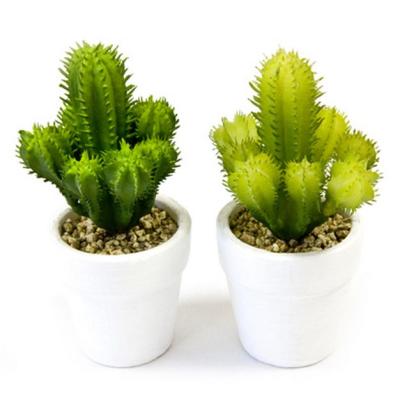 Lot de 2 minis pots enterre cuite peints en blanc contenant l'un un cactus artificiel coloris vert et l'autre un cactus articiel coloris vert clair