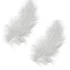 100 Plumes blanches 8 cm - 10 cm