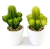 2 Minis pots avec cactus artificiel coloris assortis