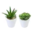 2 Minis pots de succulentes artificielles