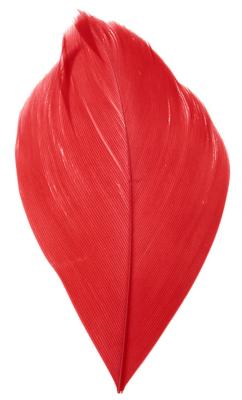 plumes décoratives rouges 6cm